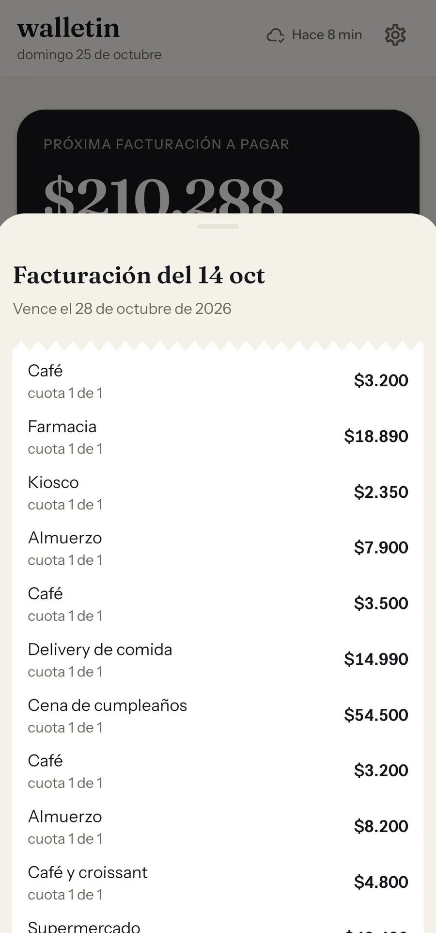 La facturación del 14 de octubre abierta como boleta, con una línea por compra y su cuota.